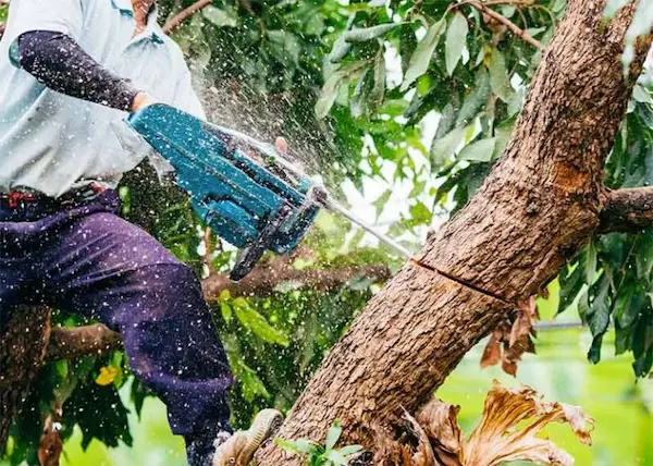 Groenafval dat vrij komt bij het klussen in de tuin