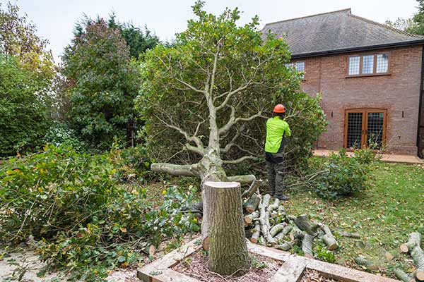 Tuin opknappen